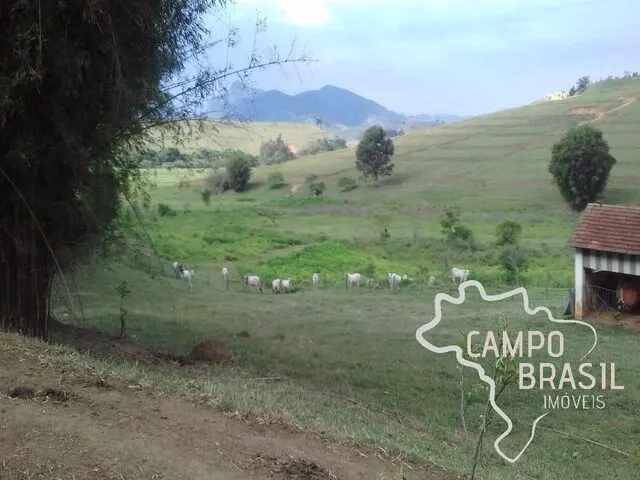 Foto 6 de Fazenda de 98 alqueires com pasto formado, curral e nascente, Área Rural de Itajubá