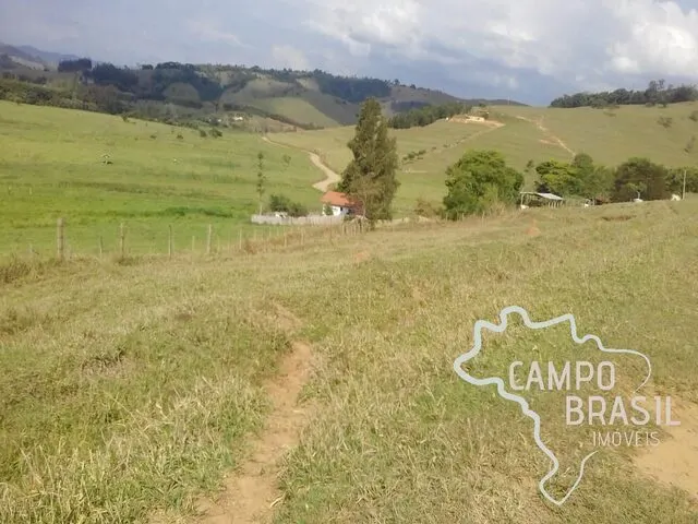 Foto 7 de Fazenda de 98 alqueires com pasto formado, curral e nascente, Área Rural de Itajubá