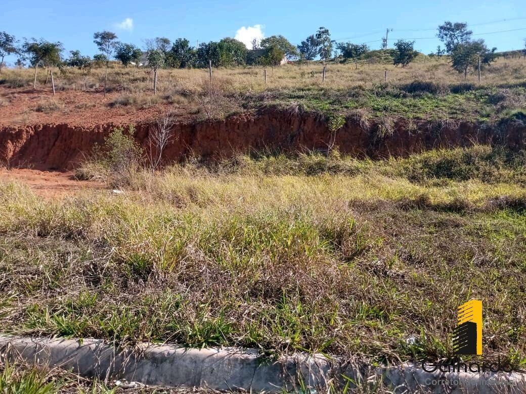 Foto 2 de Lote de 226 m² no Jardim Europa