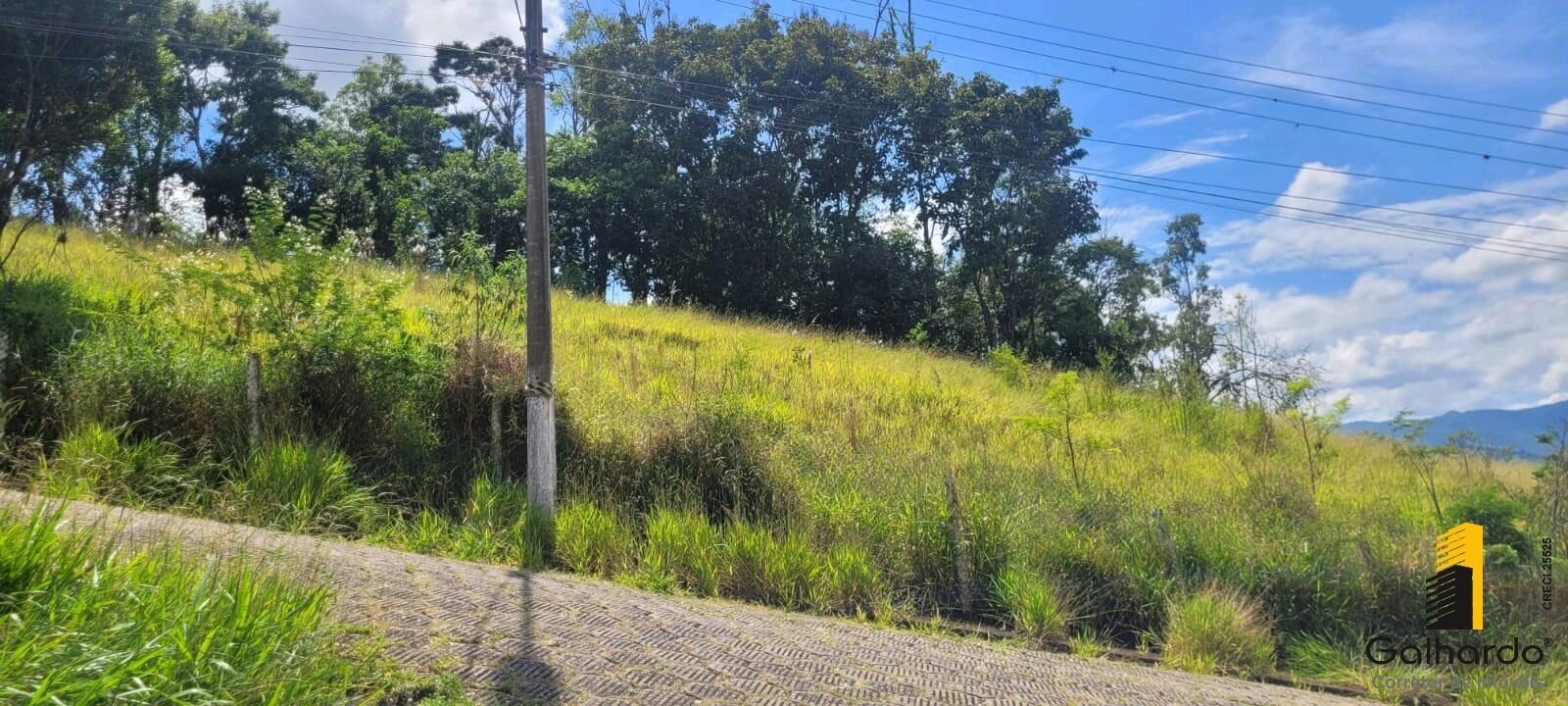 Foto 4 de Lote de 542 m² no Morro Chic