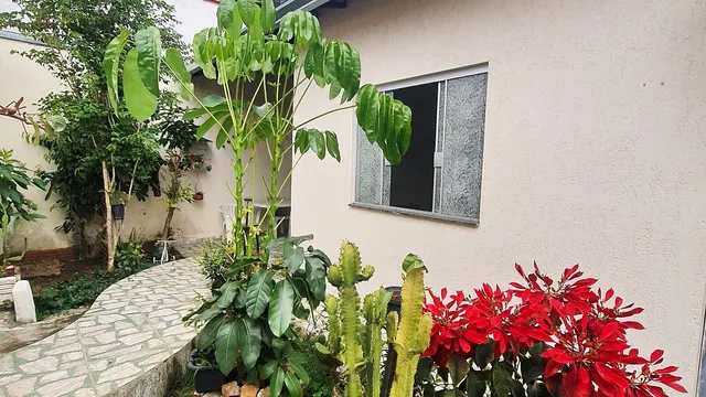 Casa de 3 quartos em terreno de 200 m² em Santa Terezinha