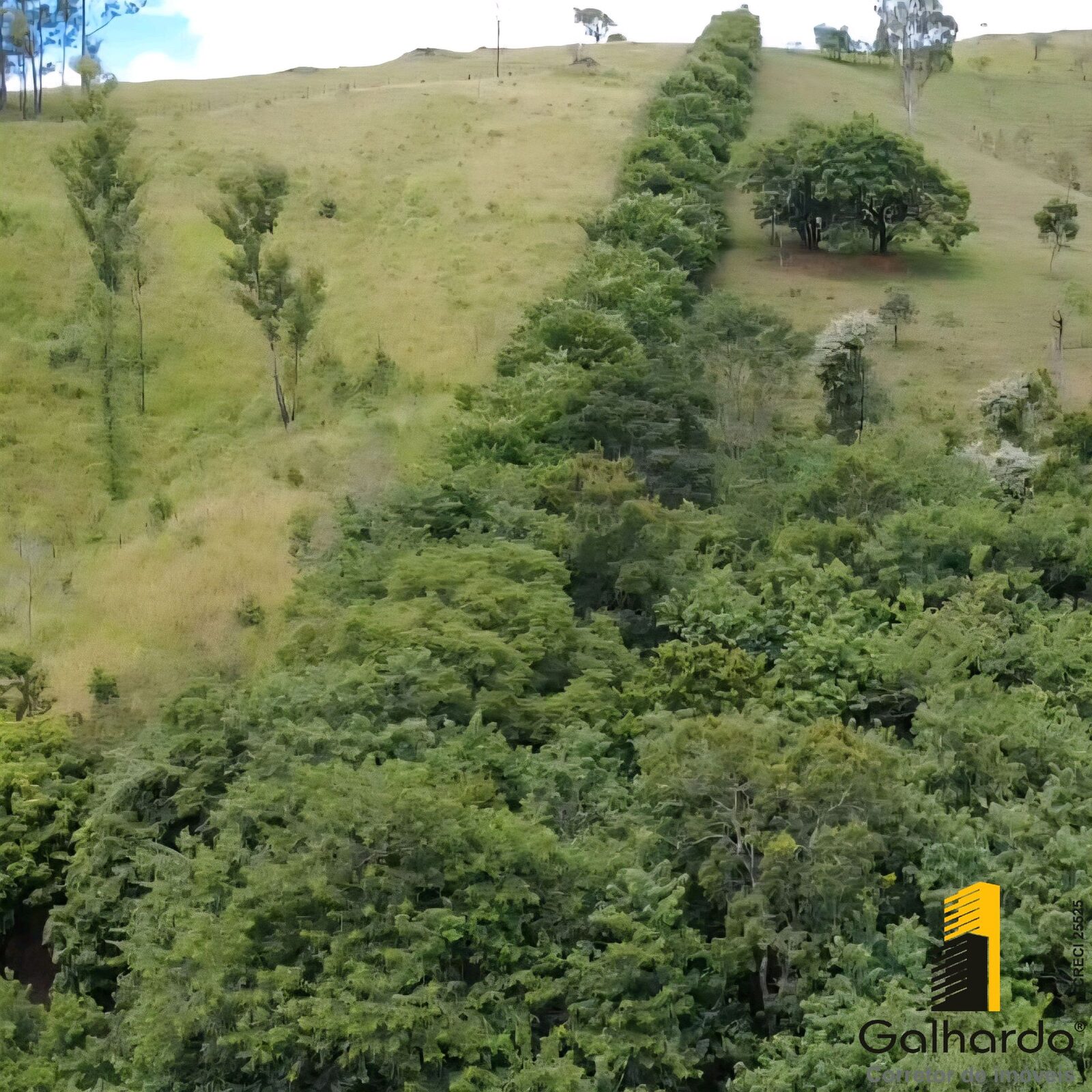 Foto 3 de Área de 40.290,8 m² em São Sebastião