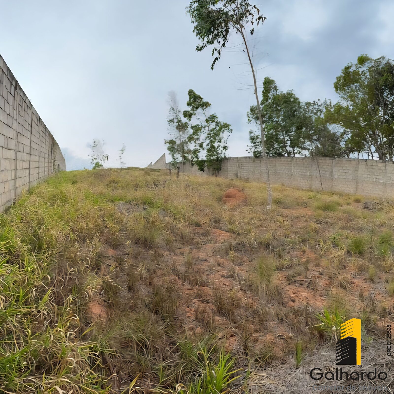 Foto 4 de Área murada de 880 m² no bairro Nações