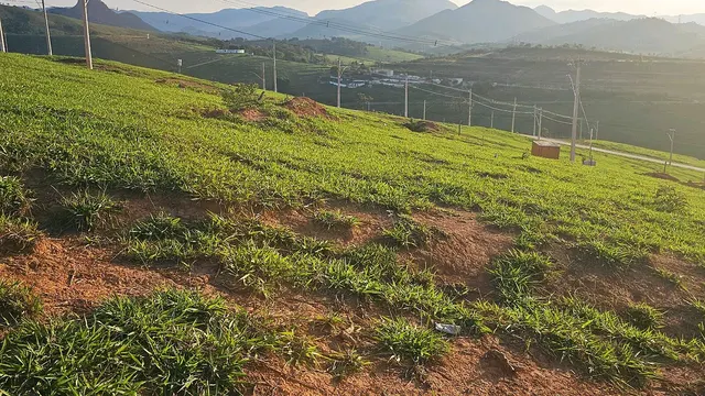 Foto 1 de Lote de 250 m² na Colina Verde