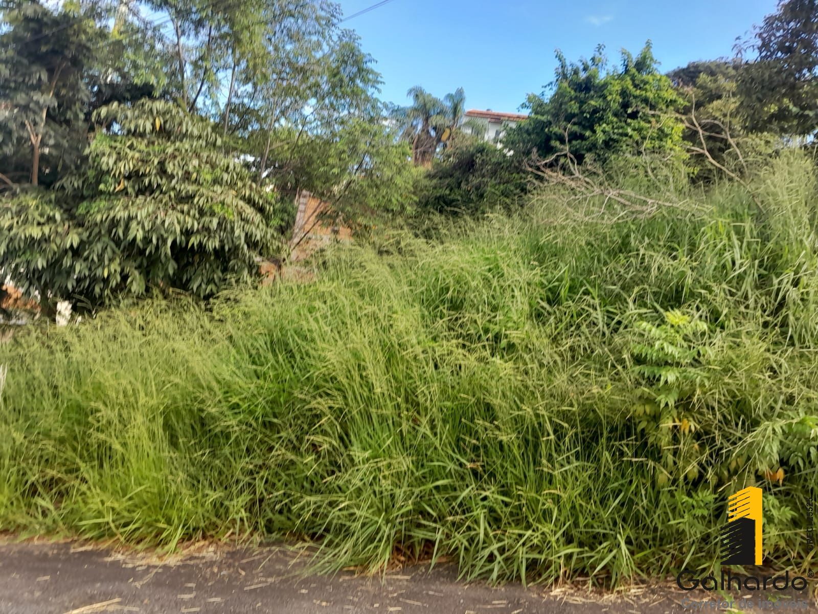 Foto 6 de Lote de 435,75 m² no Morro Chic