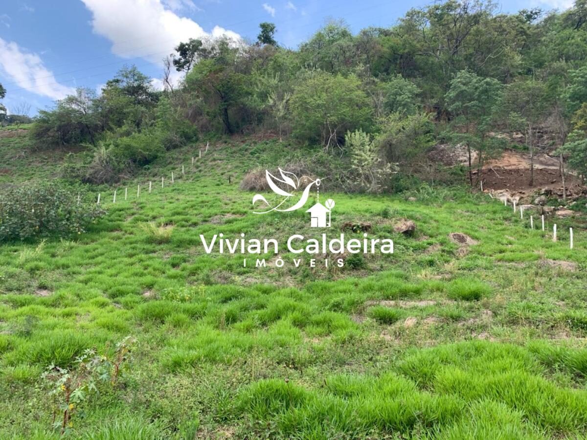 Foto 3 de Terreno em Nossa Senhora de Fátima, 20.000 m²