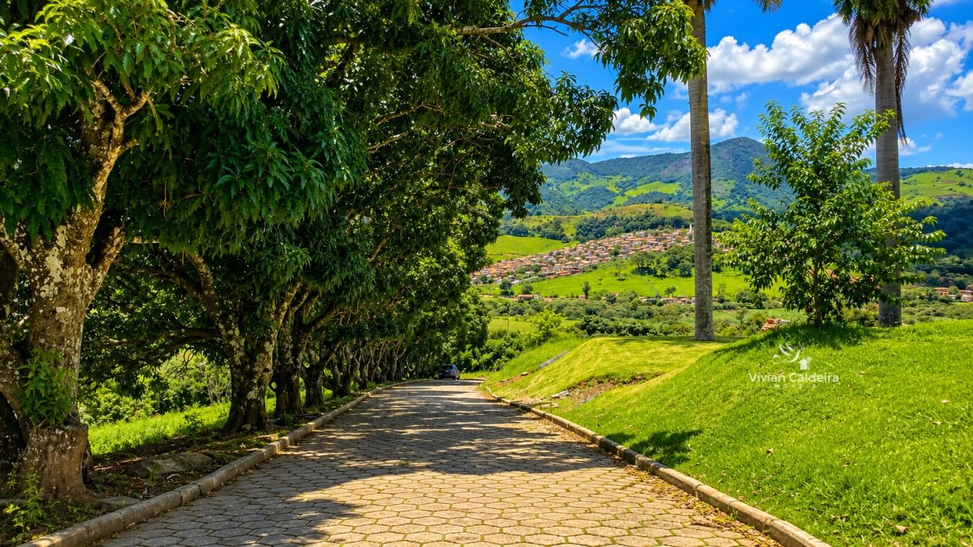 Foto 2 de Terreno em Capituba, 1.650 m²