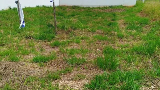 Terreno em Parque Portugal, 250 m²