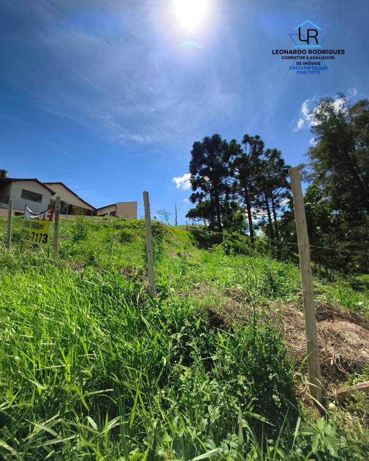 Foto 2 de Terreno em Jardim América, 560 m²