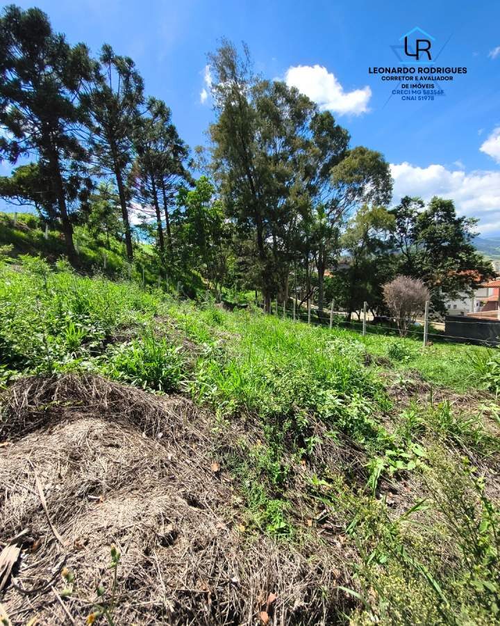 Foto 3 de Terreno em Jardim América, 560 m²