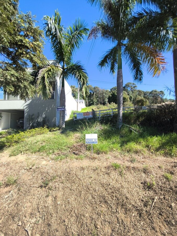 Foto 5 de Terreno em Morro Chic, 439 m²