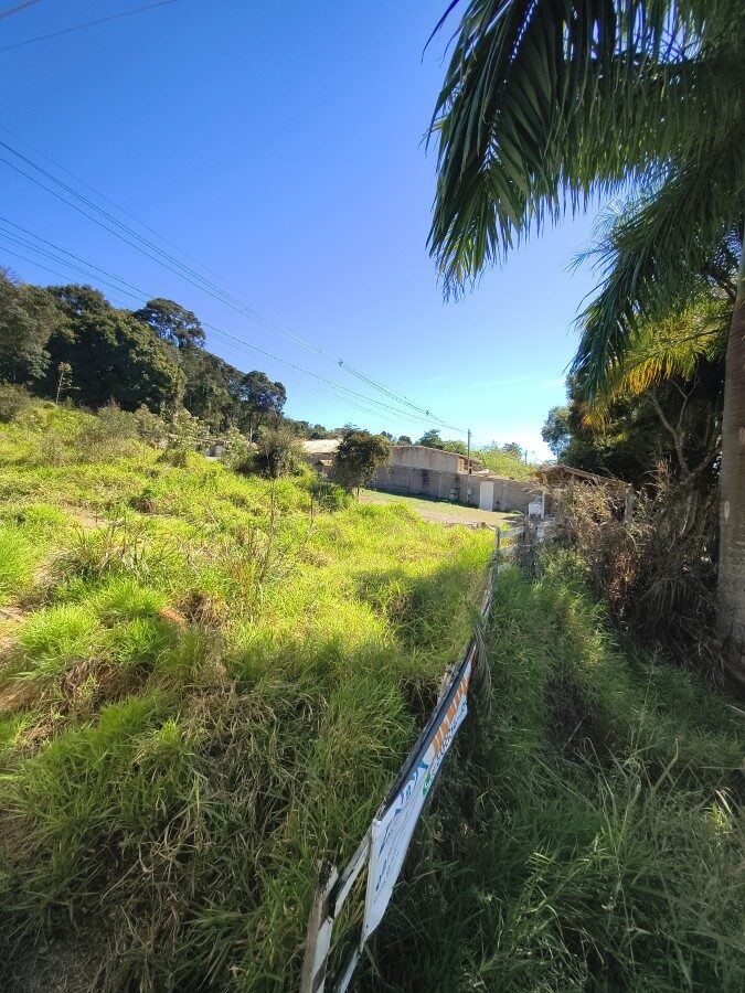 Foto 4 de Lote de 825 m² com 15 m de frente