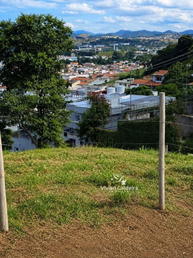 Foto 2 de Terreno em Morro Chic, 560 m²