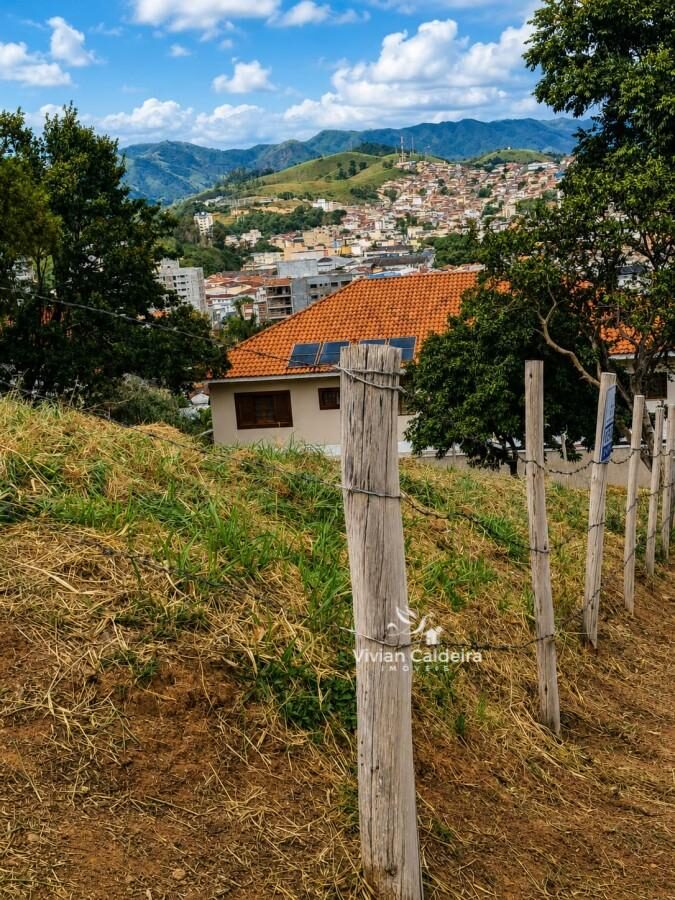 Foto 4 de Terreno em Morro Chic, 560 m²