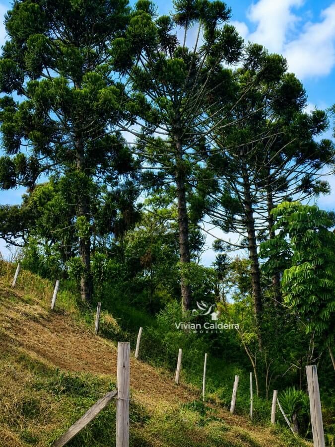 Foto 5 de Terreno em Morro Chic, 560 m²