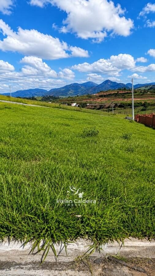Foto 4 de Lote de 365 m² no Jardim Califórnia