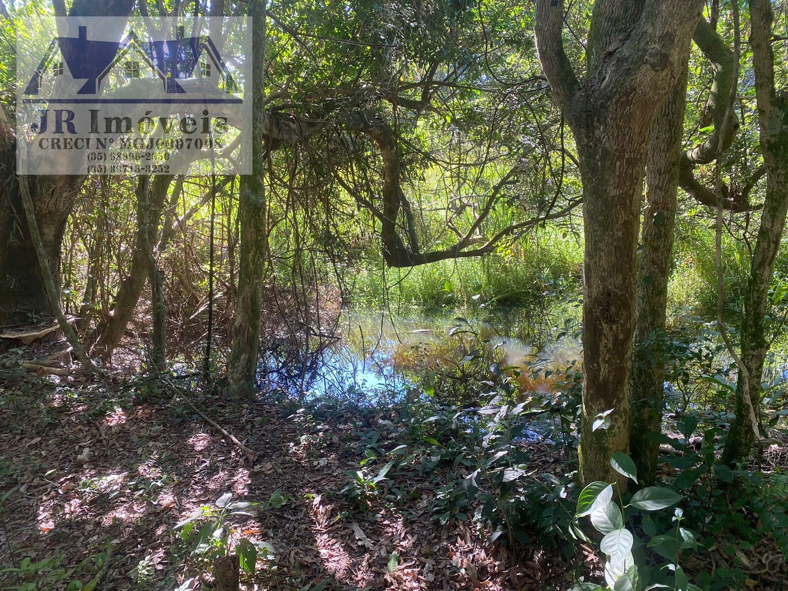 Foto 2 de Terreno de 21.840 m² na Grota