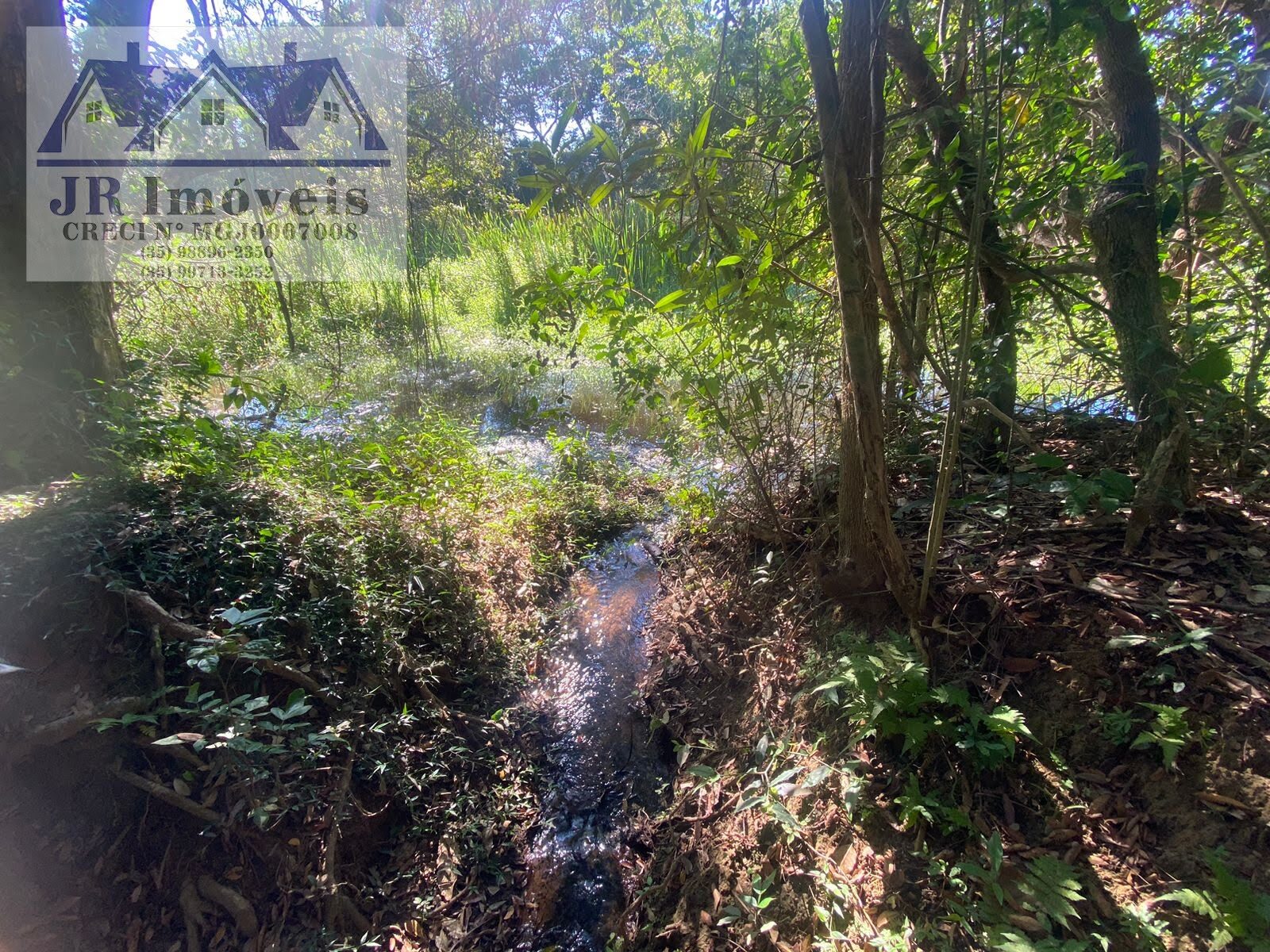 Foto 5 de Terreno de 21.840 m² na Grota