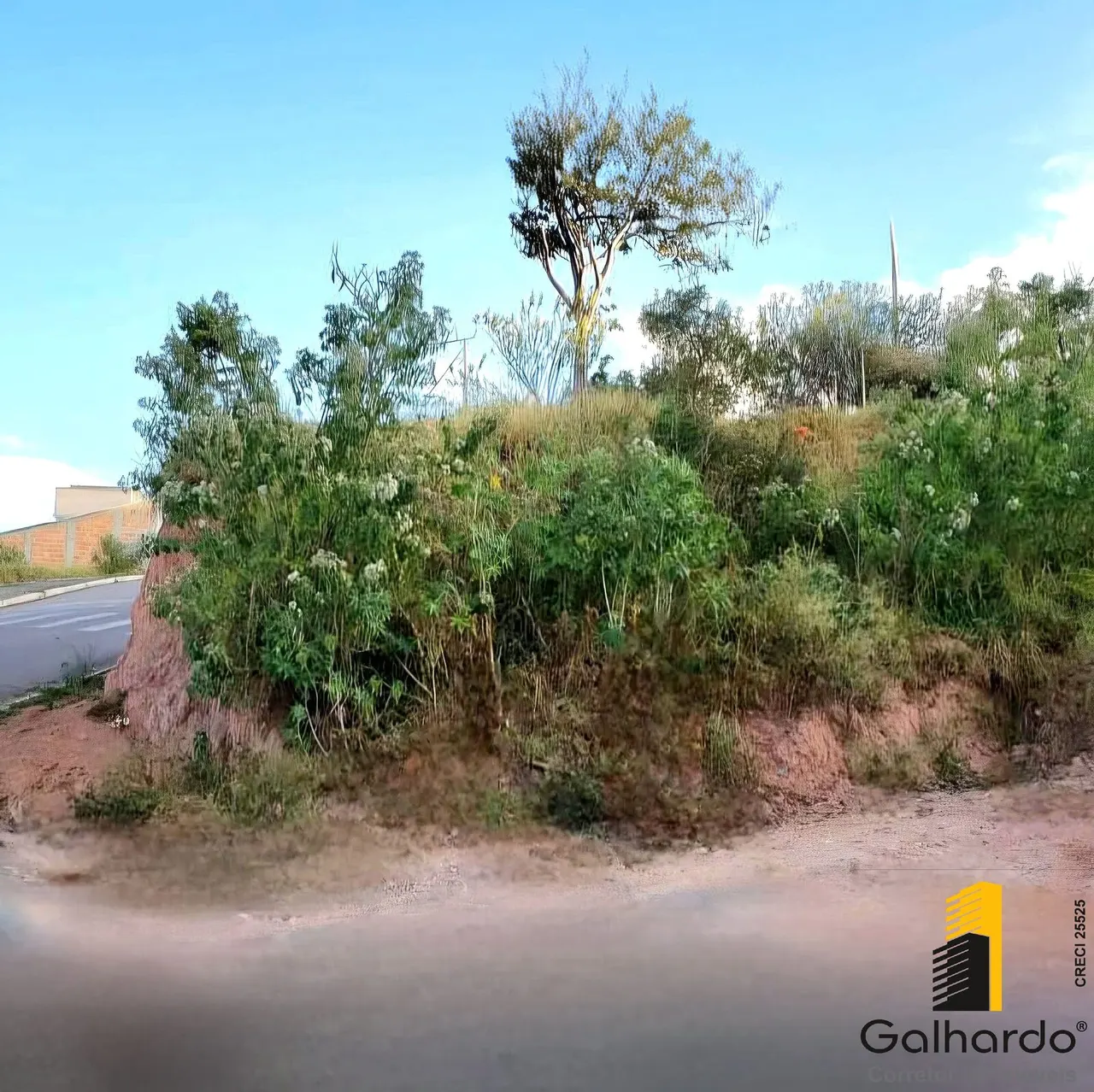 Foto 3 de Lote de 228 m² em rua pavimentada, Colina Verde