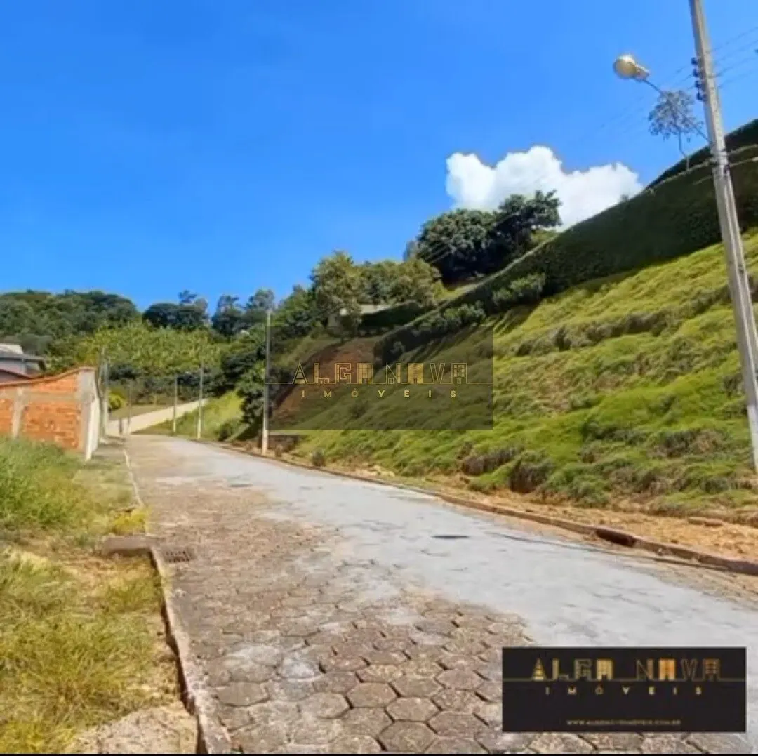 Foto 4 de Lote de 365 m² na parte nobre do Jardim Bela Vista, Bela Vista