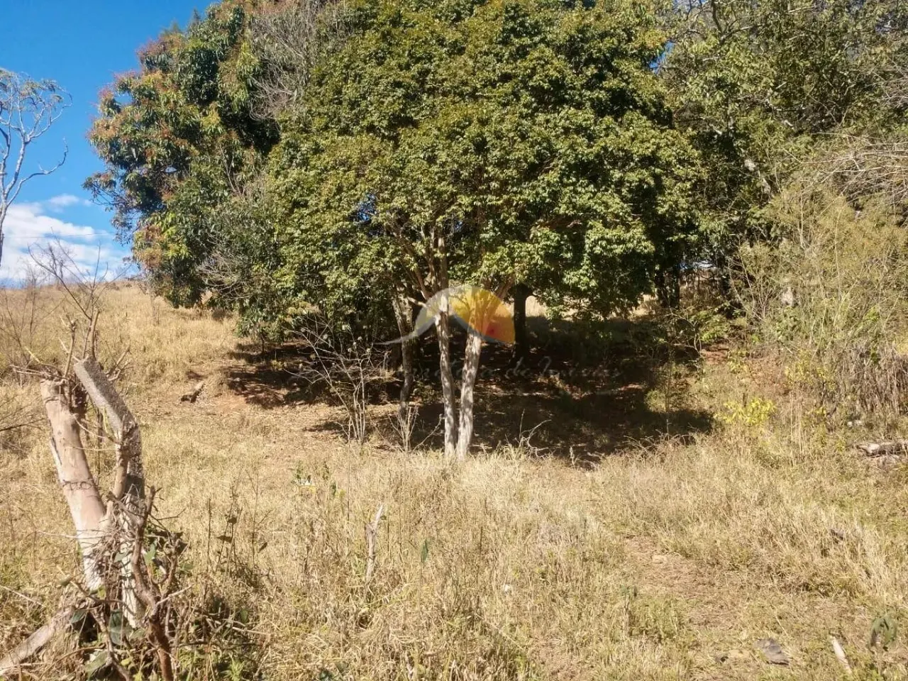 Foto 2 de Lotes de 552 m² e 564 m², Jardim Alterosa
