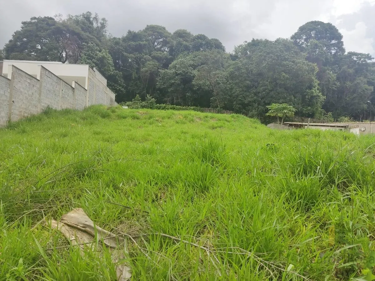 Foto 3 de Lote residencial de 825 m² em região alta com vista, Juru