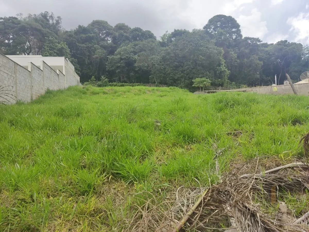Foto 4 de Lote residencial de 825 m² em região alta com vista, Juru
