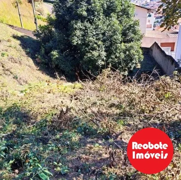 Foto 3 de Lote murado de 420 m² com portão, Jardim Bela Vista