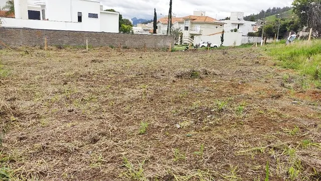 Foto 1 de Lote plano de 810 m² em rua residencial, Pinheirinho