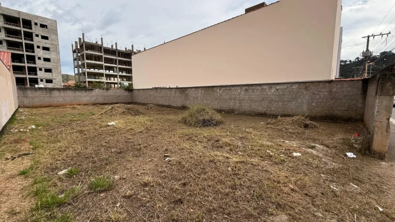 Foto 4 de Lote plano de 300 m² todo murado, Estiva