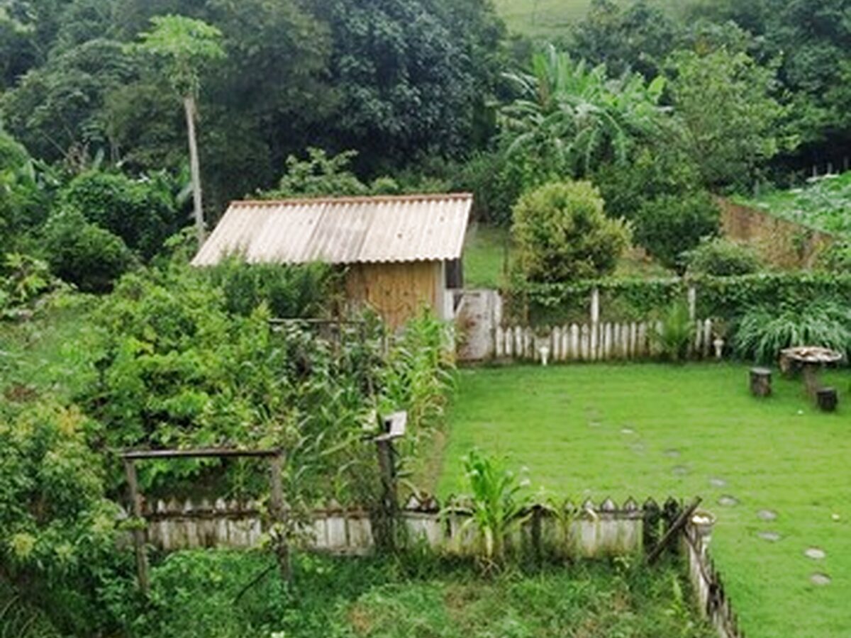 Foto 3 de Chácara de 6.480 m² em Santa Rosa