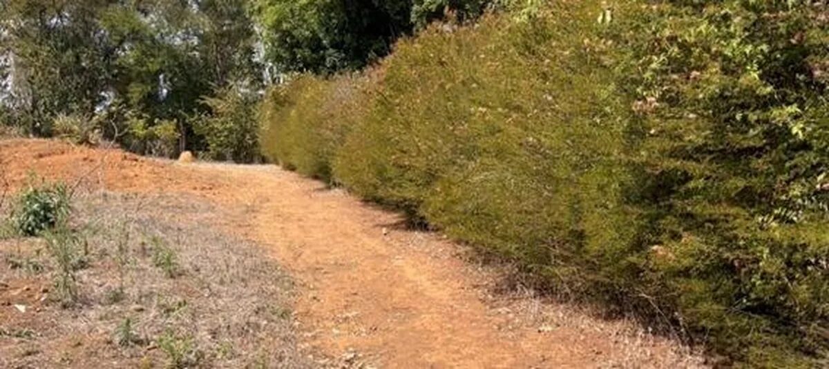 Foto 3 de Terreno com área ampla em Itajubá
