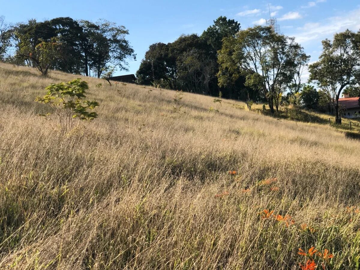 Foto 6 de Terreno de 1.120 m² no Nações