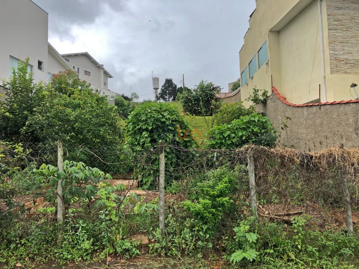 Foto 4 de Lote em rua residencial do Pinheirinho