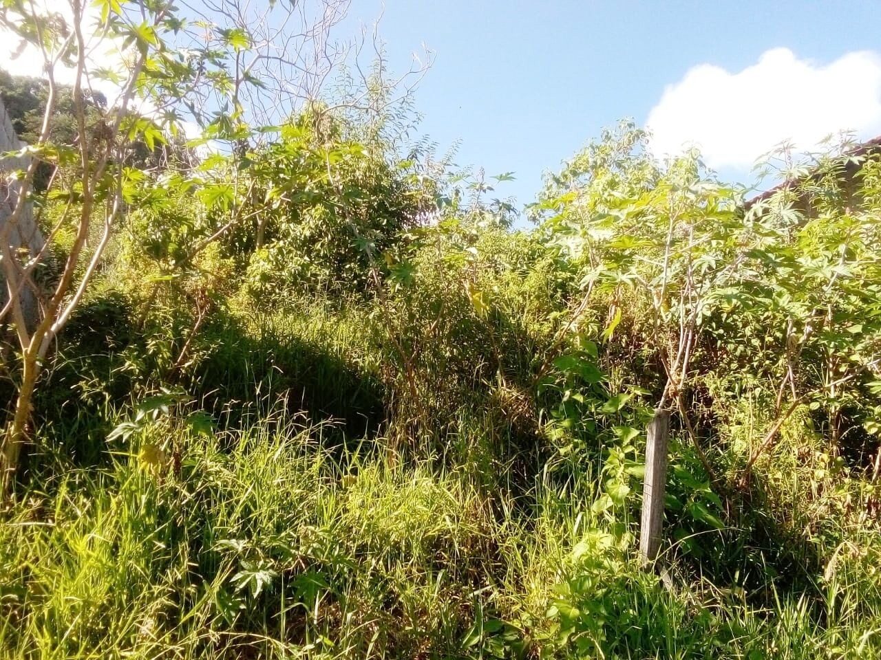 Foto 7 de Casa em construção no Juru