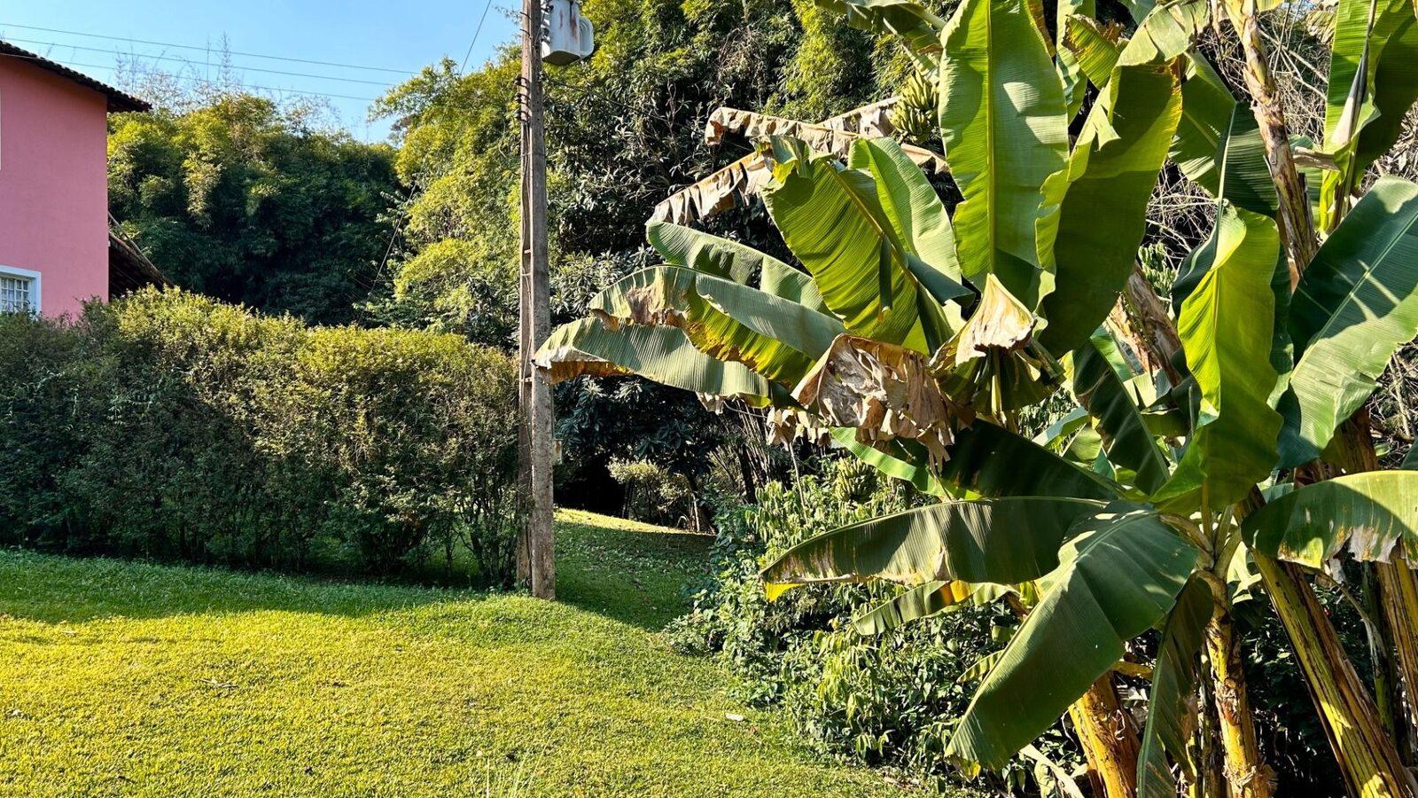 Foto 4 de Chácara de 10.000 m² no Morro Grande