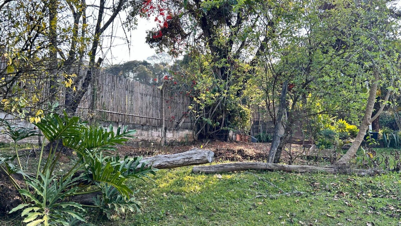 Foto 5 de Chácara de 10.000 m² no Morro Grande