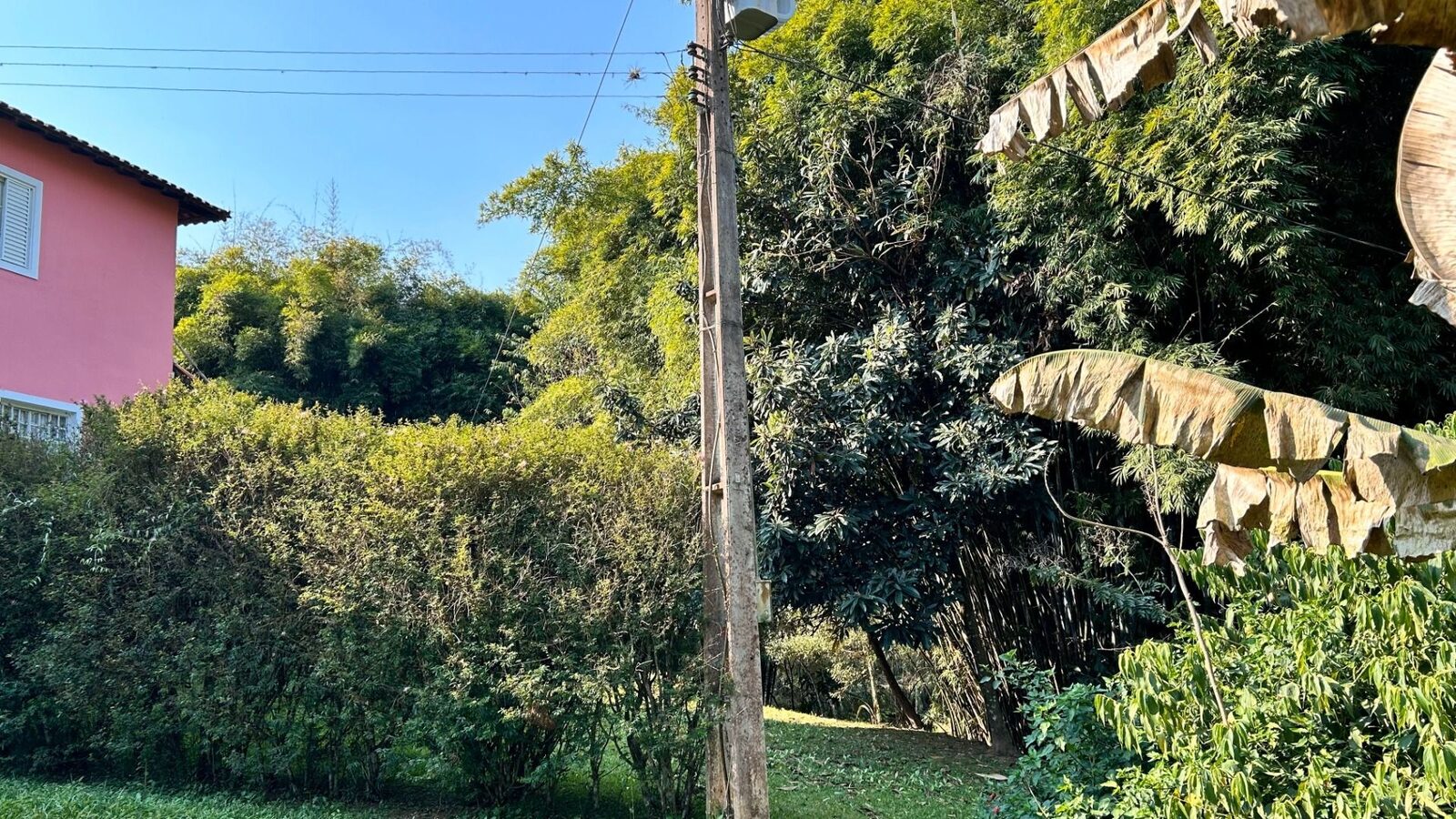 Foto 7 de Chácara de 10.000 m² no Morro Grande