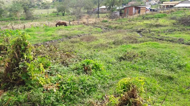 Foto 1 de Terreno de 750 m² em Vila Betel