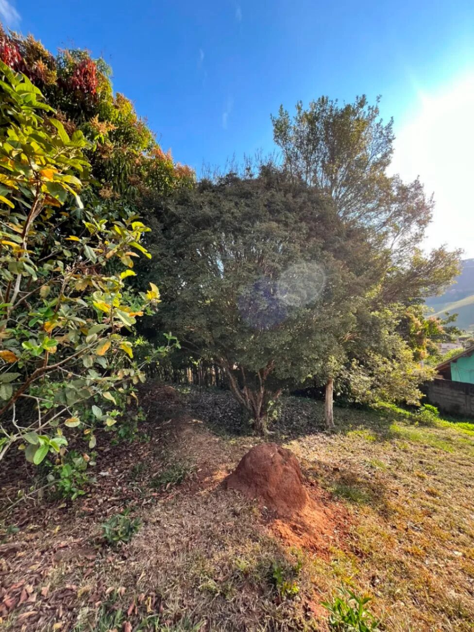 Foto 2 de Chácara de 1100 m² em Goiabal