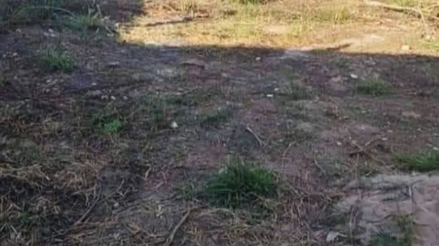Foto 1 de Terreno de 230 m² em Açude