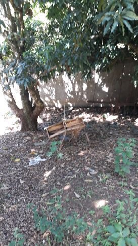 Foto 3 de Casa de 2 quartos em terreno de 500 m² em Nações