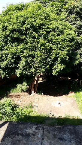 Foto 4 de Casa de 2 quartos em terreno de 500 m² em Nações