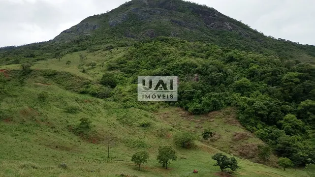 Foto 1 de Propriedade rural de 15 alqueires com muita água, Anhumas