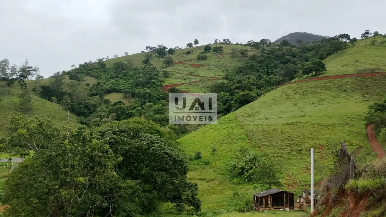 Foto 3 de Propriedade rural de 15 alqueires com muita água, Anhumas