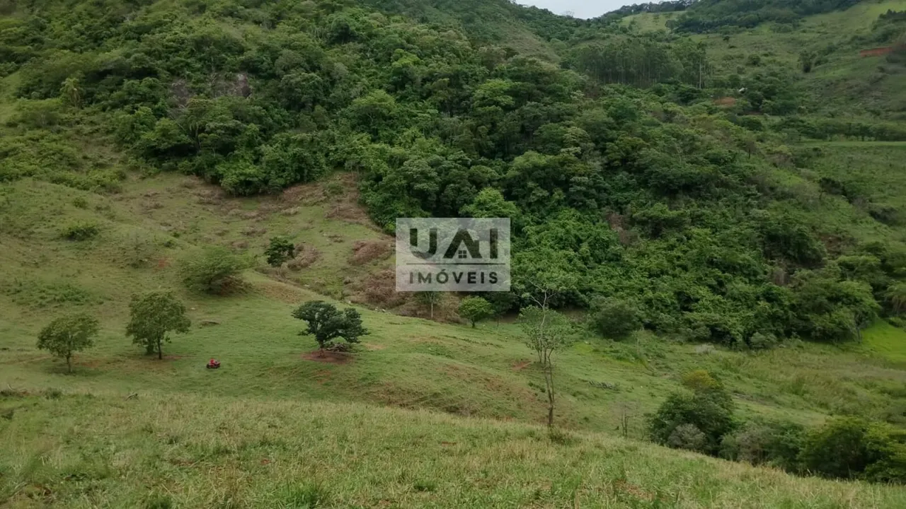 Foto 5 de Propriedade rural de 15 alqueires com muita água, Anhumas