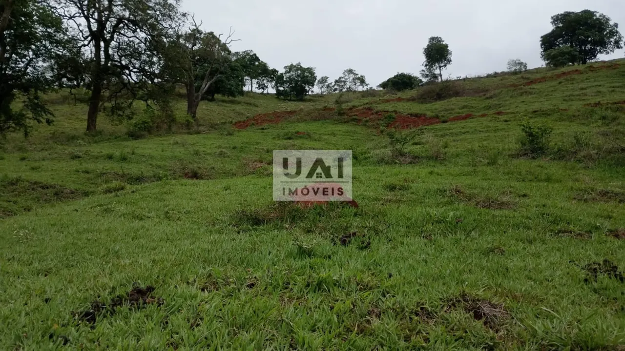 Foto 7 de Propriedade rural de 15 alqueires com muita água, Anhumas