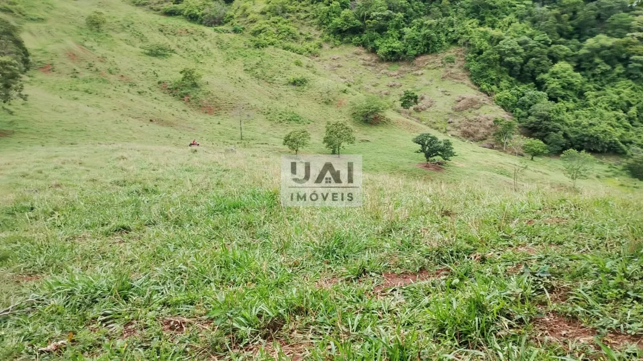Foto 8 de Propriedade rural de 15 alqueires com muita água, Anhumas
