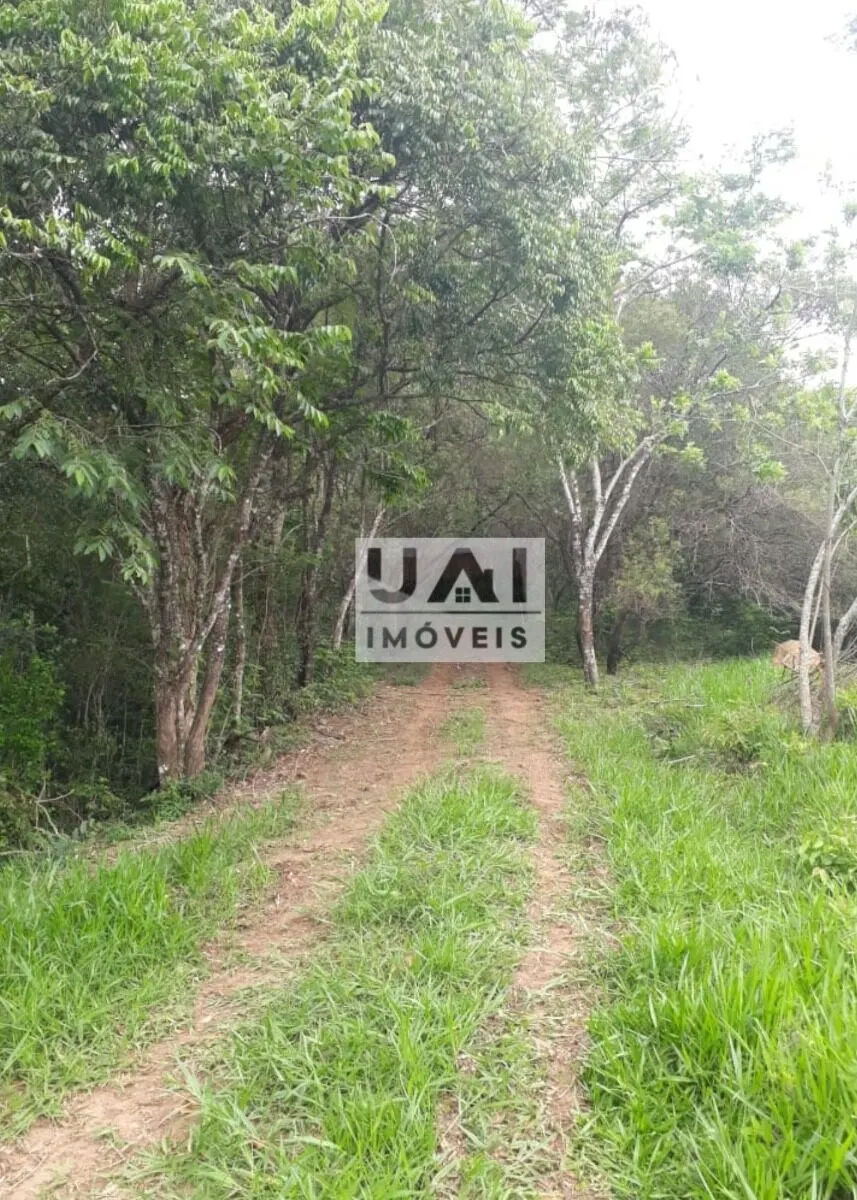 Foto 4 de Propriedade rural de 19 alqueires com casa de 5 quartos, São Pedro