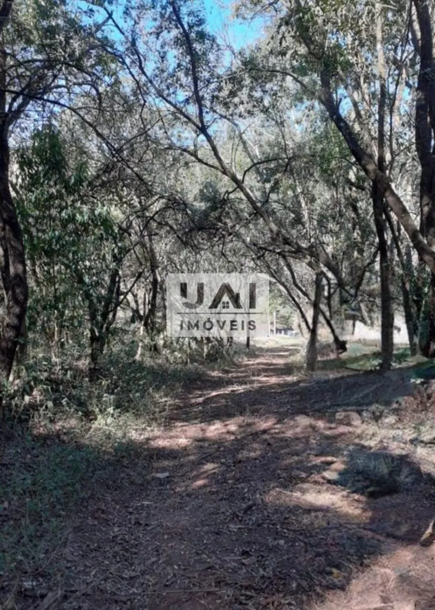Foto 5 de Propriedade rural de 19 alqueires com casa de 5 quartos, São Pedro